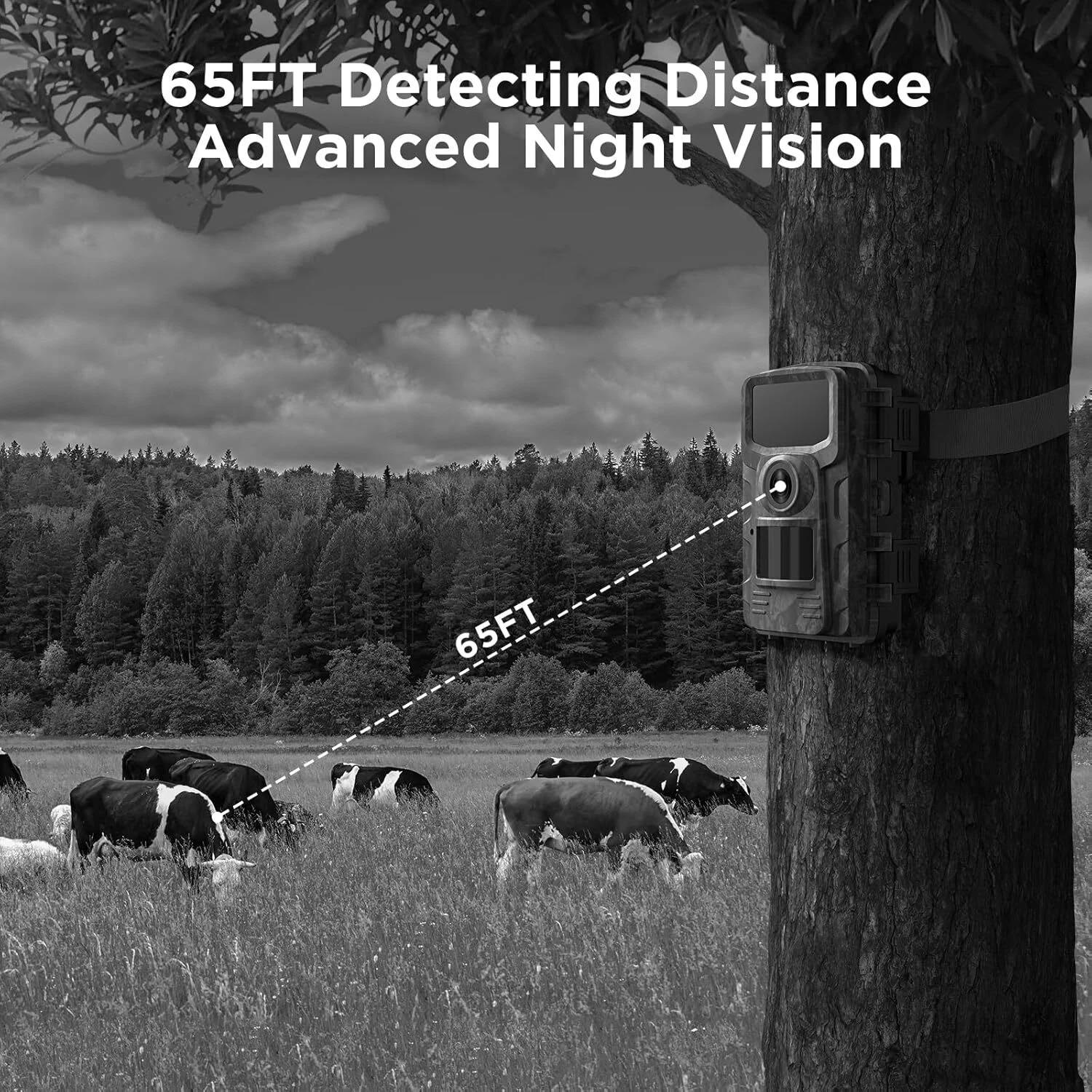 Night Vision Outdoor Wildlife Animal Camera - Image 2