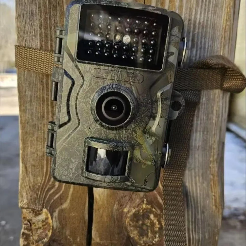 Night Vision Outdoor Wildlife Animal Camera - Image 4