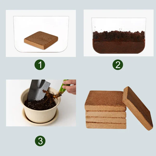 Organic Coconut Coir For Plants - Image 4