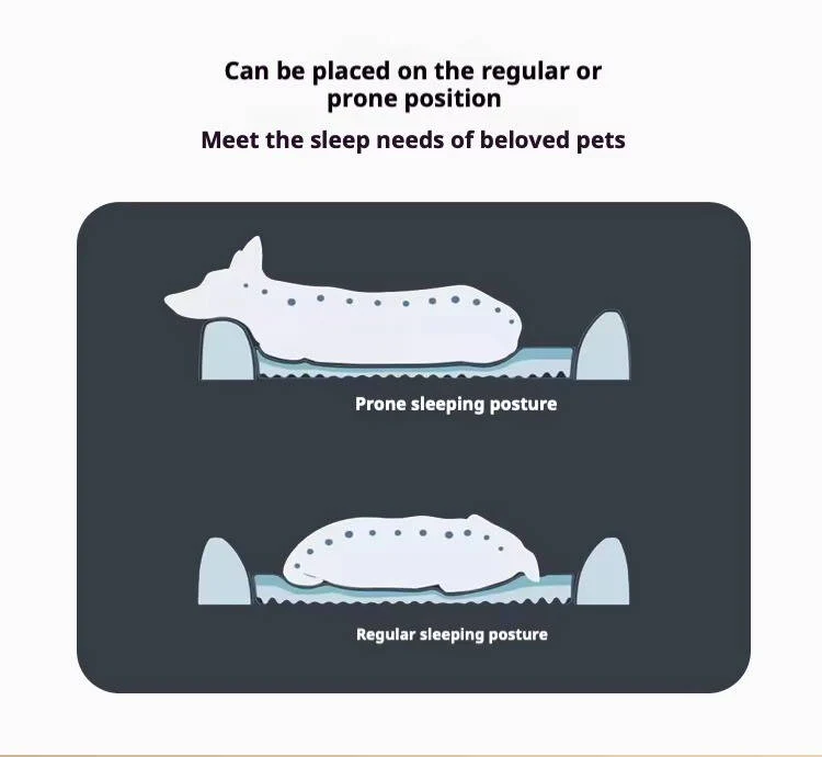 Orthopedic Anti Slip Car Dog Bed Back Seat - Image 6