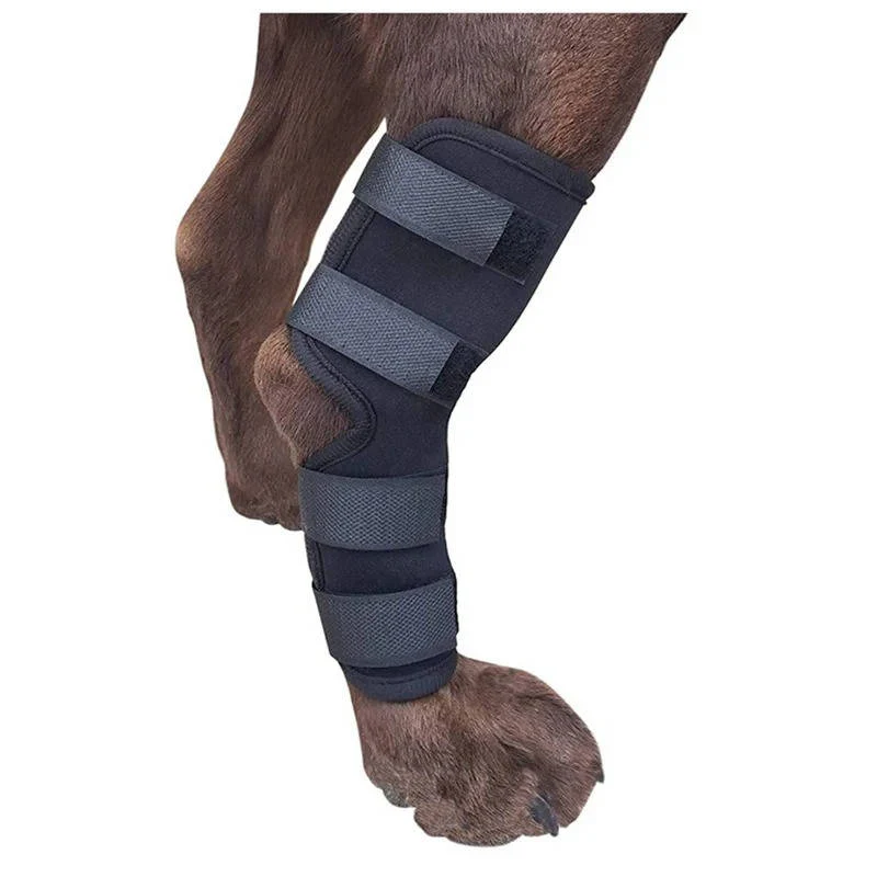 Orthopedic Braces For Dogs - Image 5