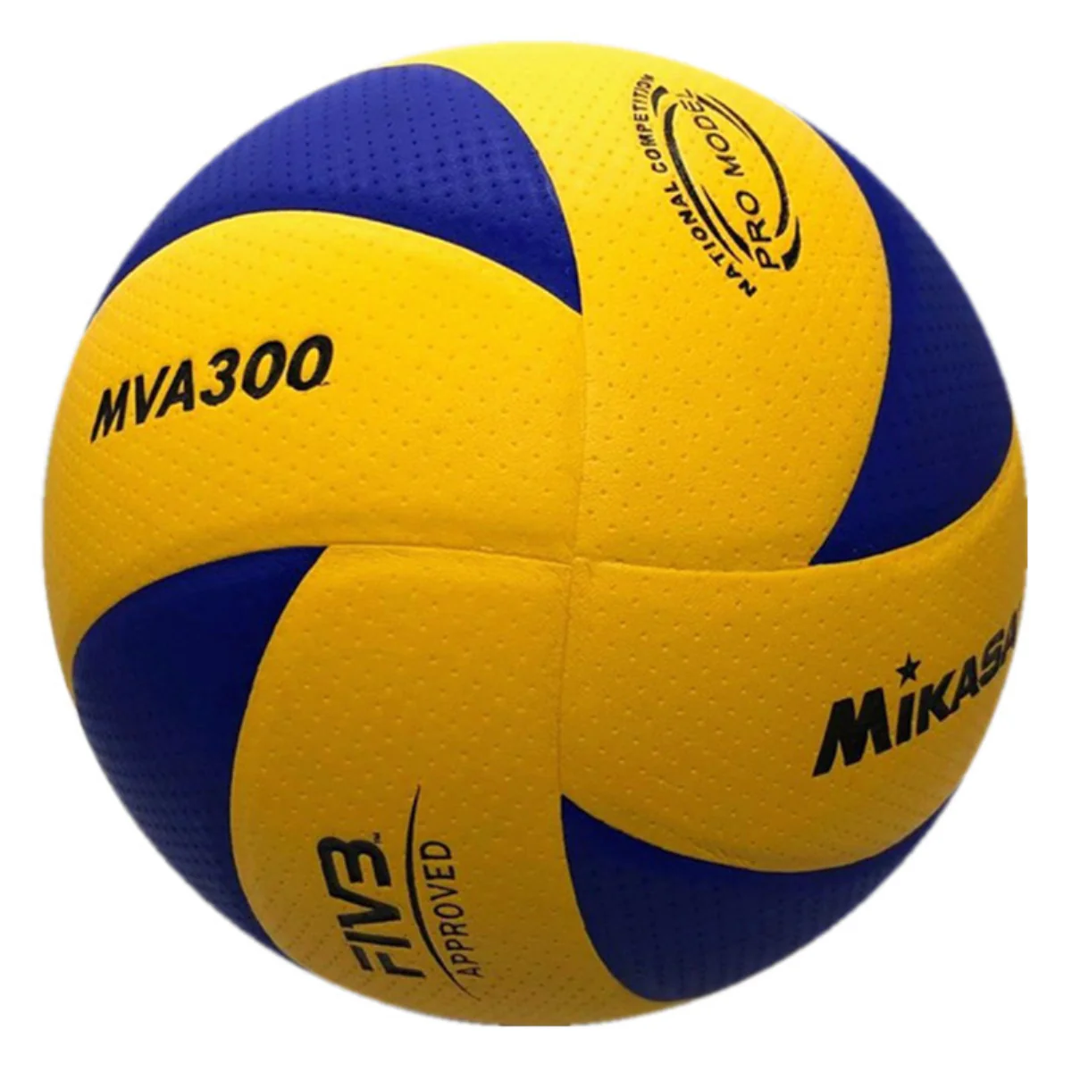 Outdoor And Indoor Volleyball Training - Image 5