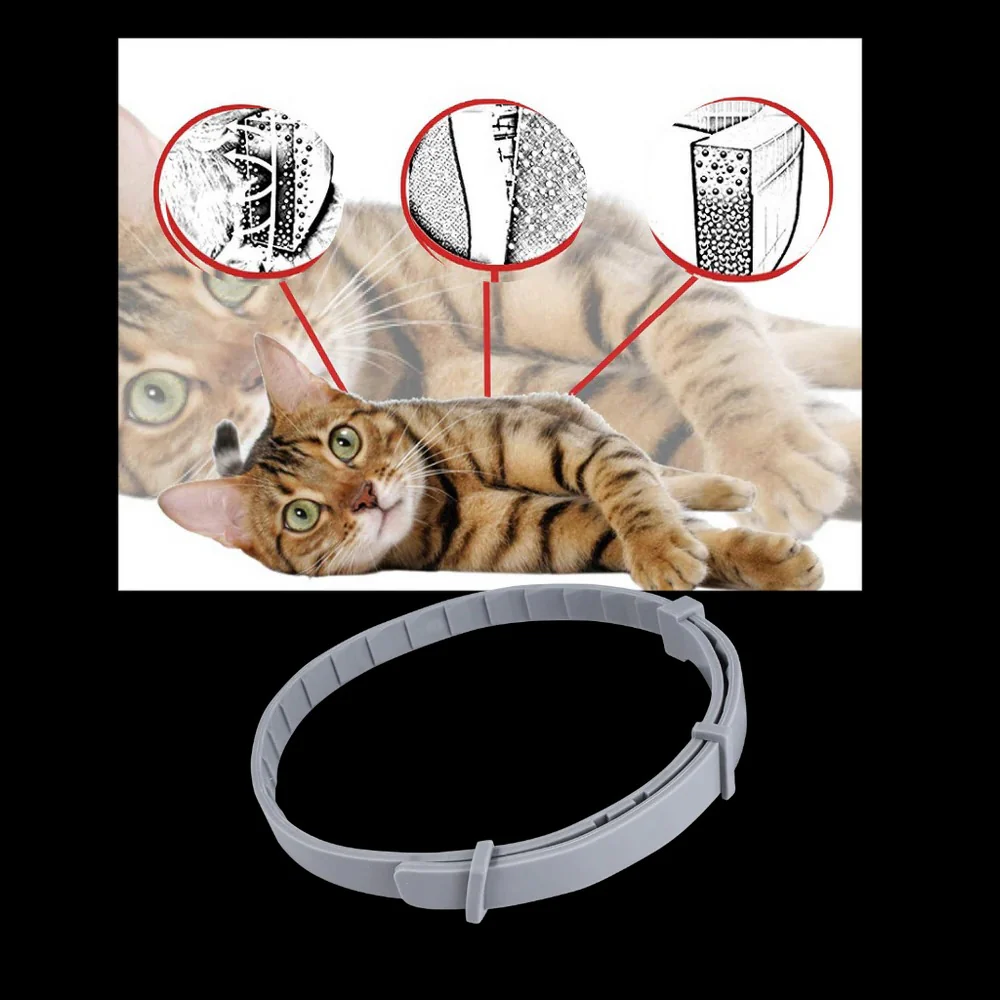 Parasite Repellent Pet Collar - Image 4