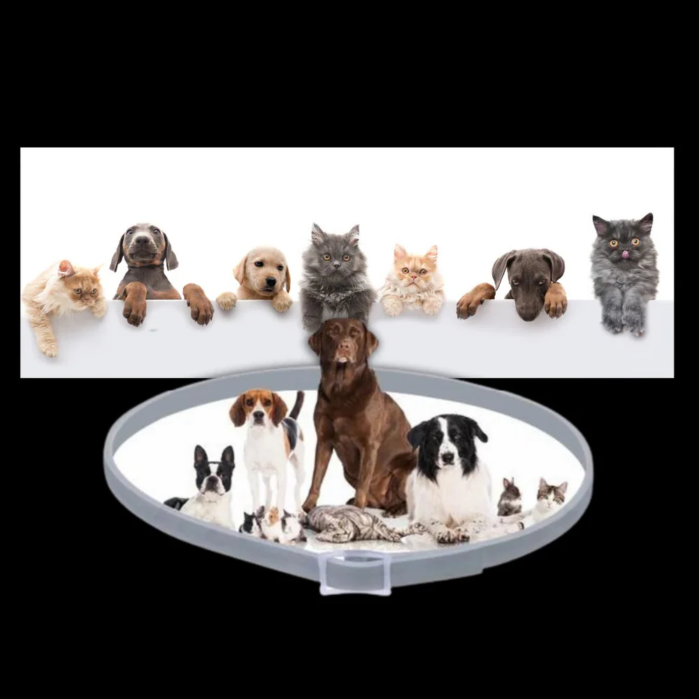 Parasite Repellent Pet Collar - Image 5