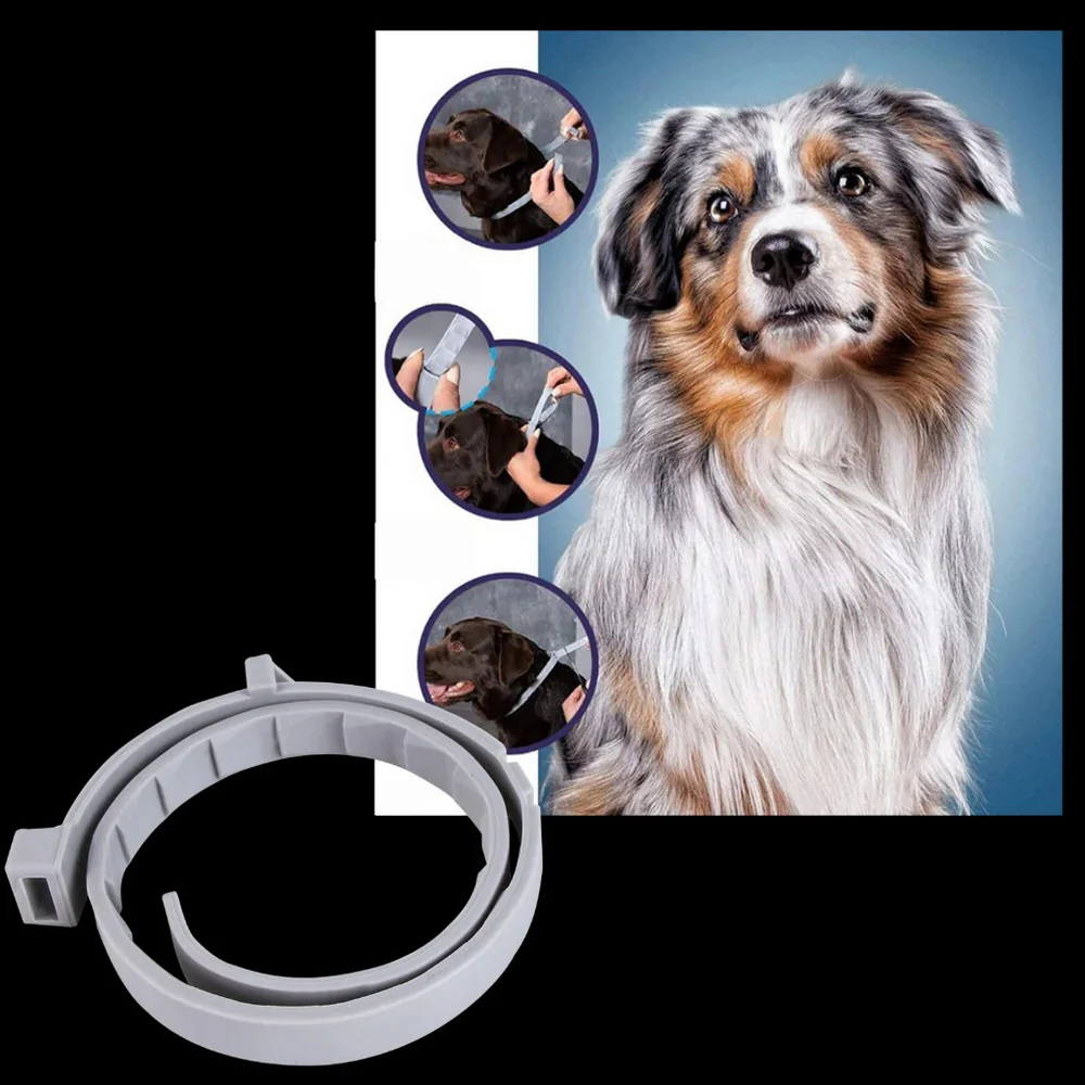 Parasite Repellent Pet Collar - Image 8