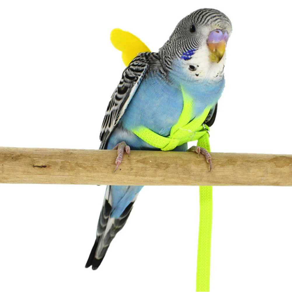 Parrot Bird Harness - Image 4
