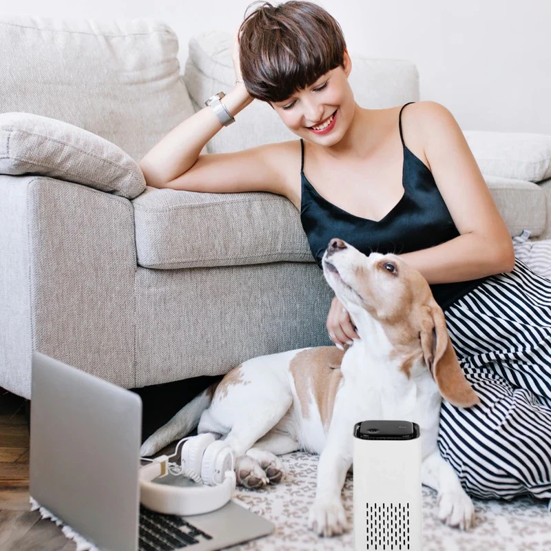 Pet Air Purifier - Image 6