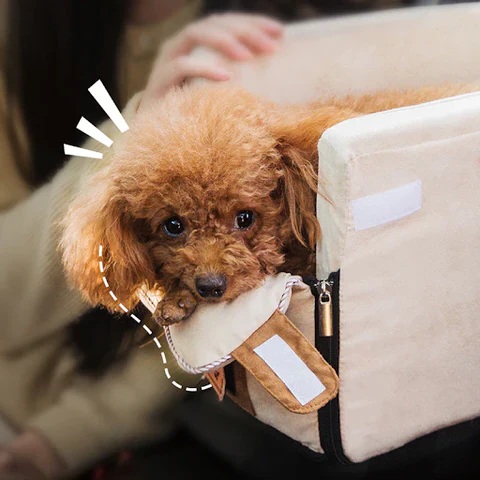 Pet Armrest Safety Seat - Pet Car Seat Travel Bag Suitable for Small Dogs and Cats - Image 6