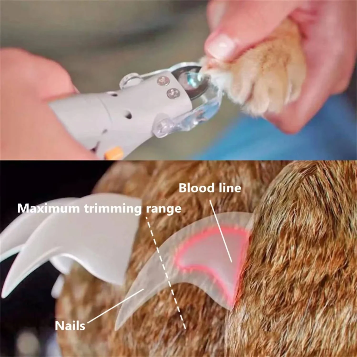 Pet Bail Clipper With Light - Image 3