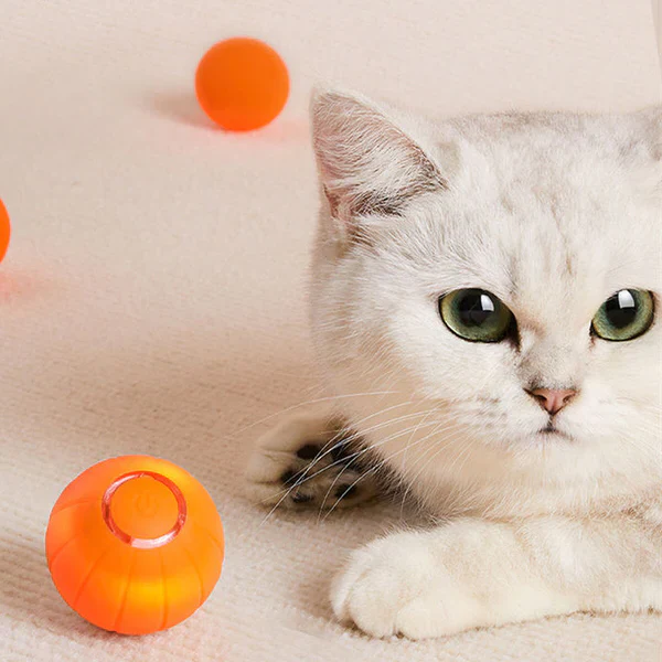 Pet Ball (Special Edition) - Image 2