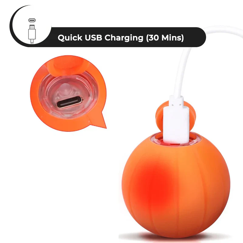 Pet Ball (Special Edition) - Image 5