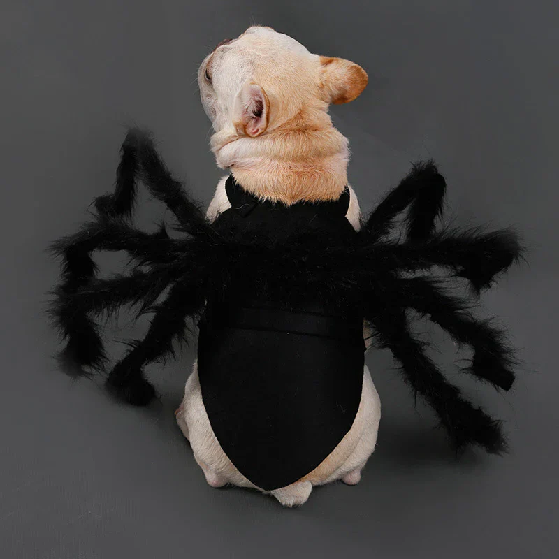 Pet Funny Spider Costume - Image 2