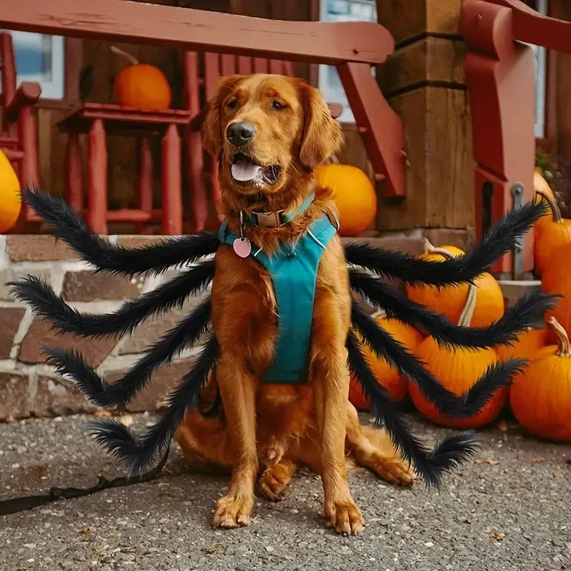Pet Funny Spider Costume - Image 3