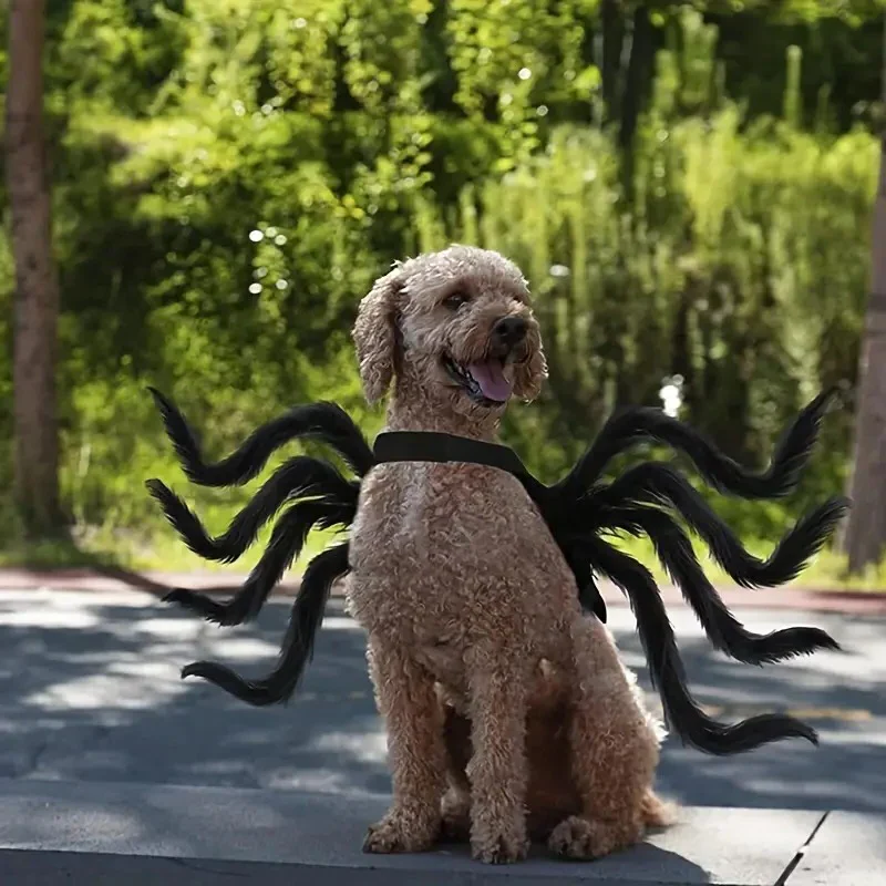 Pet Funny Spider Costume - Image 5