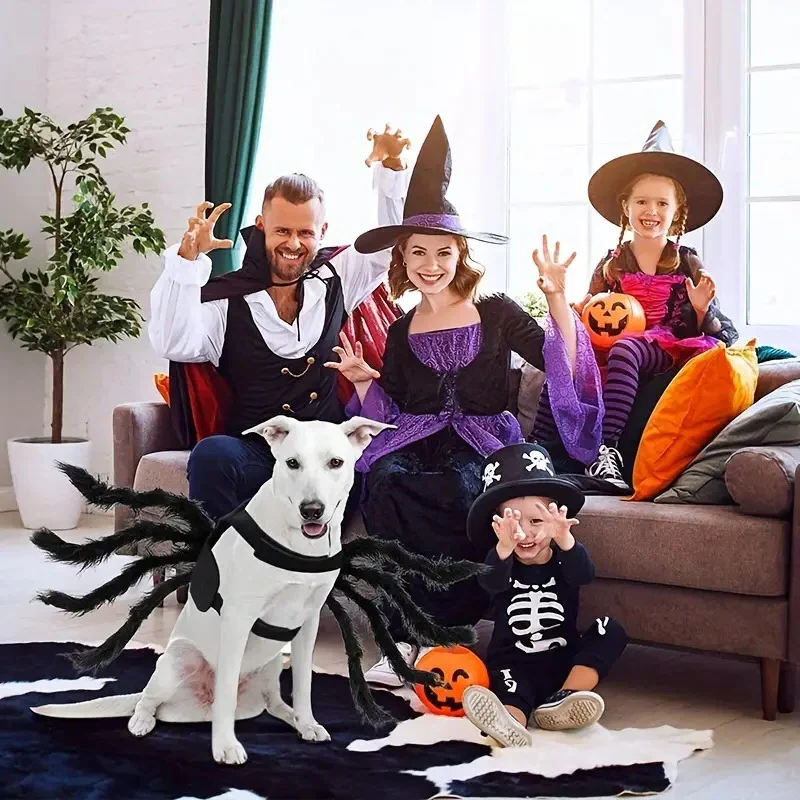 Pet Funny Spider Costume - Image 6