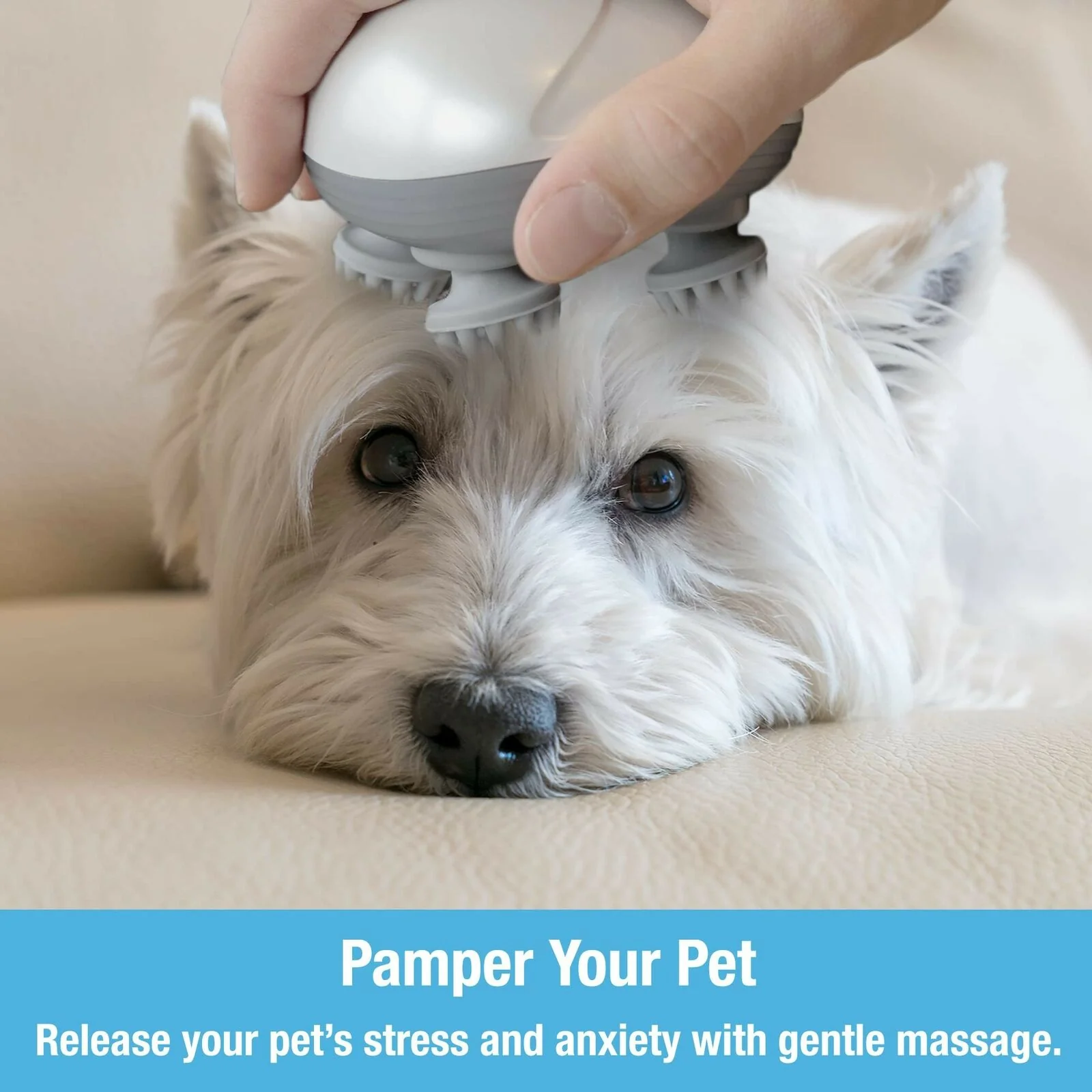 Pet Massager - Image 2