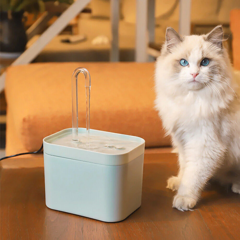 Pet Water Dispenser - Image 3