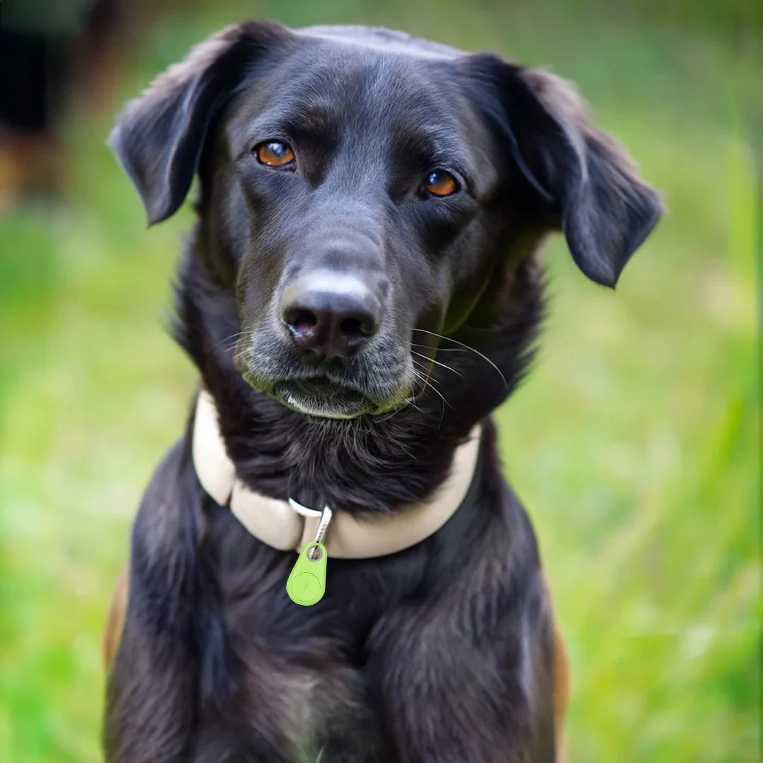 Pets Smart Waterproof GPS Tracker - Image 9