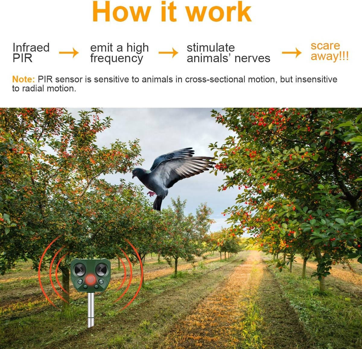 Pigeon And Bird Scarer Ultrasonic And Pest Defender - Image 3