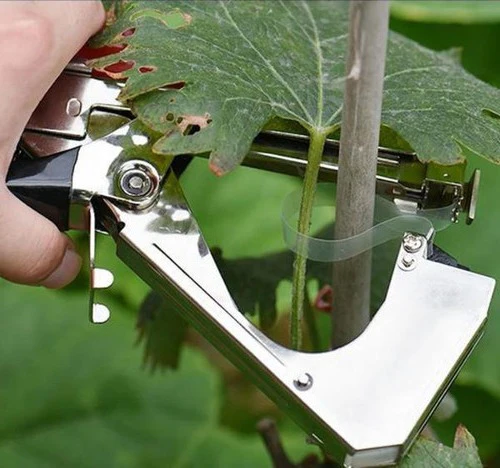 Plant strappers - Image 4