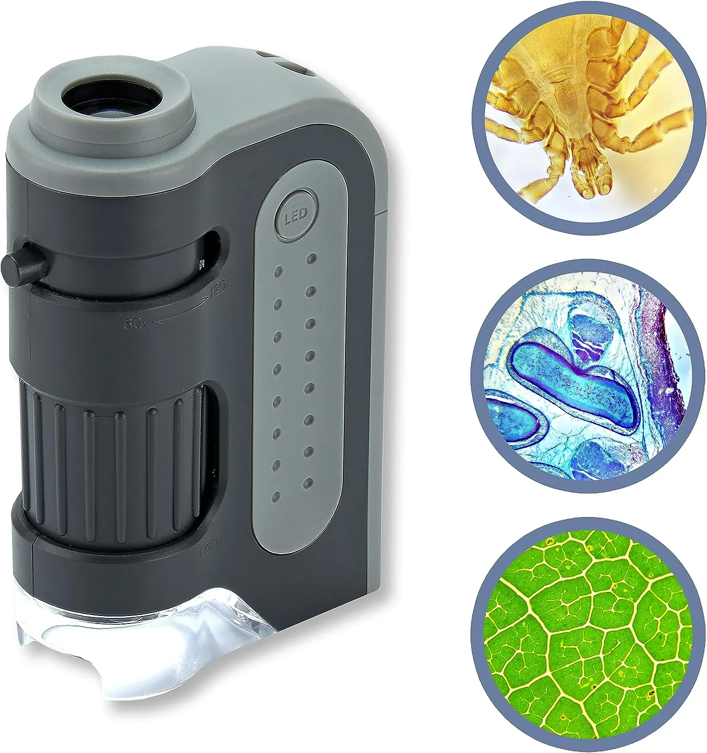 Portable Handheld Pocket Microscope - Image 2