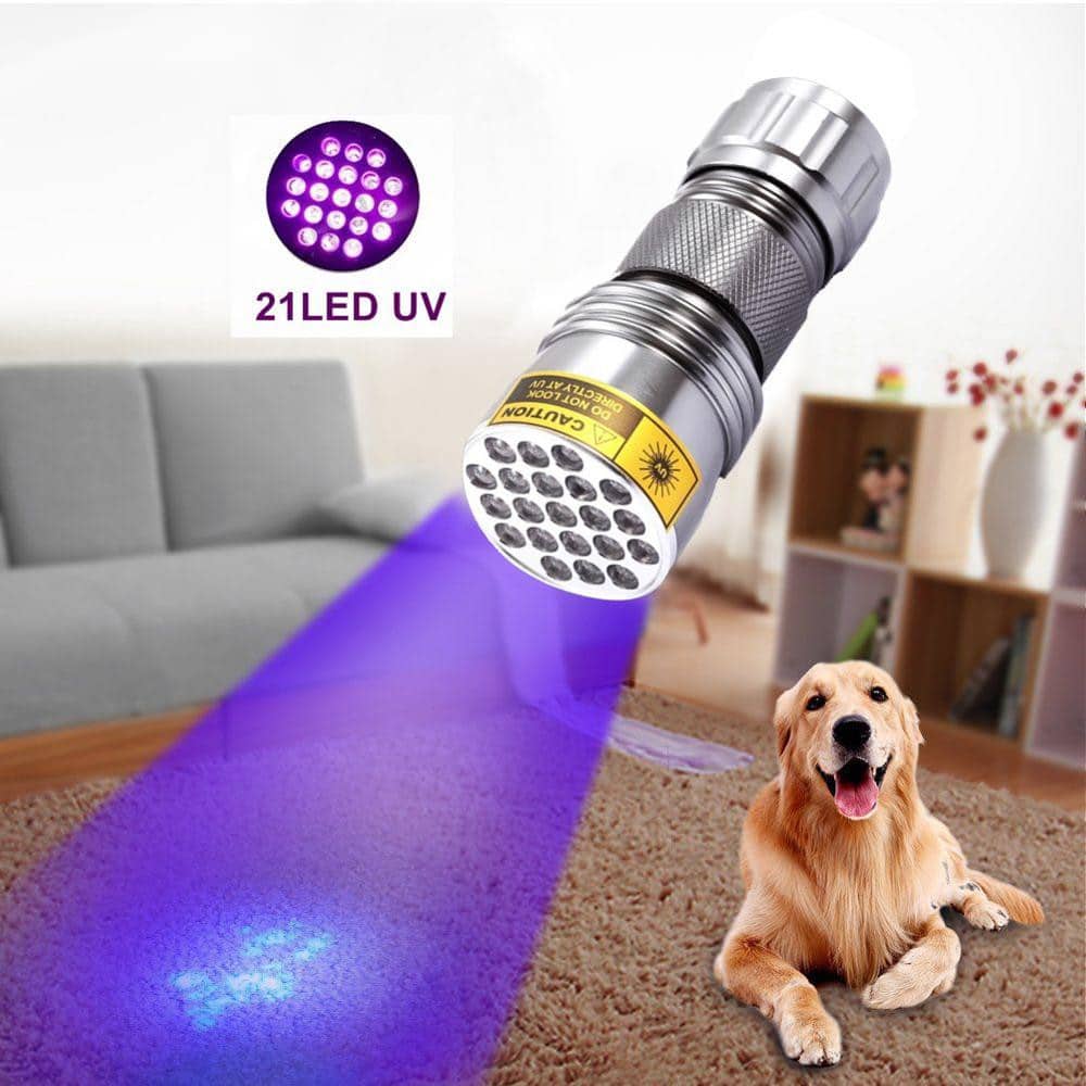Powerful 21 LED pocket UV lamp - Image 2