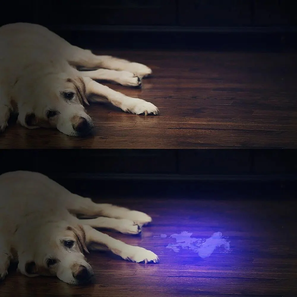 Powerful 21 LED pocket UV lamp - Image 3