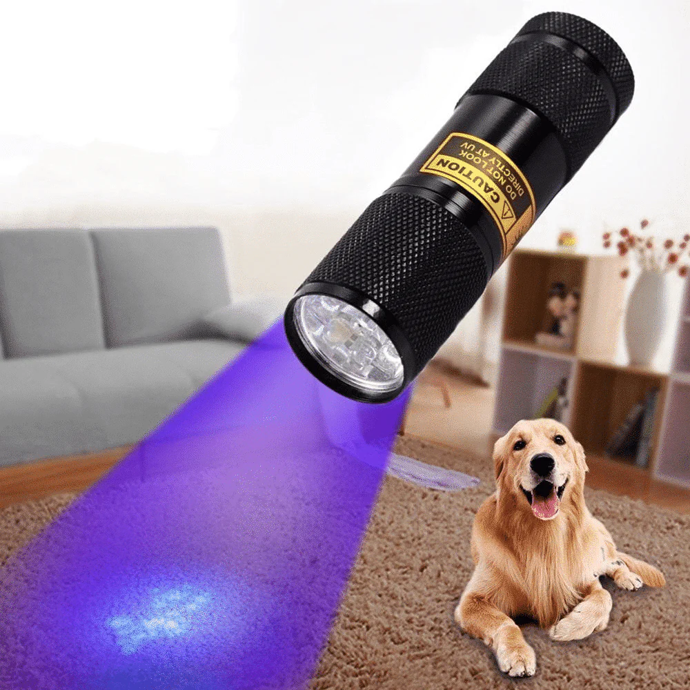 Powerful 21 LED pocket UV lamp - Image 4