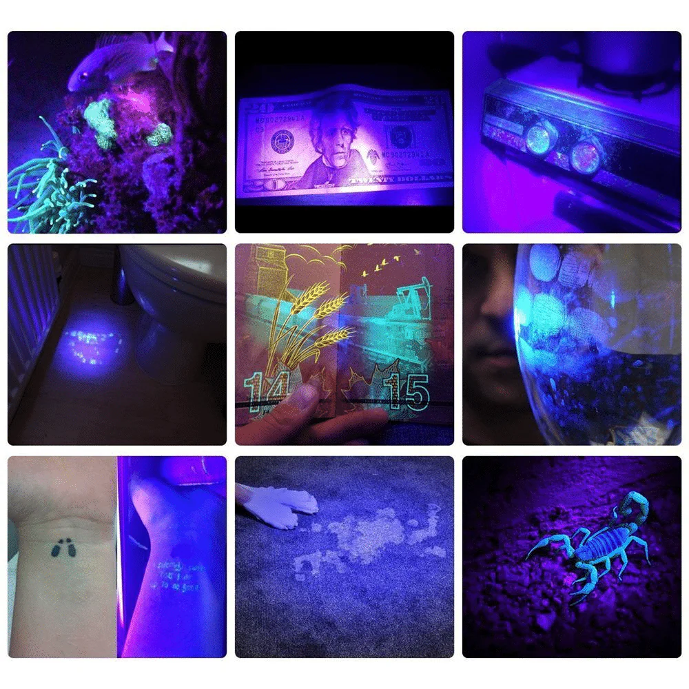 Powerful 21 LED pocket UV lamp - Image 6
