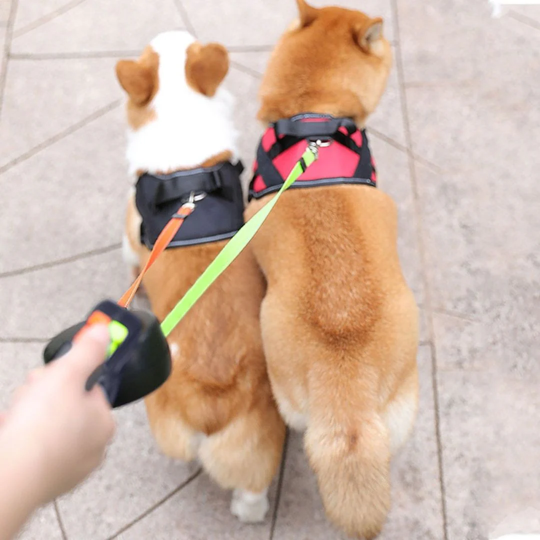 Anti-Tangle Double Dog Leash - Image 2