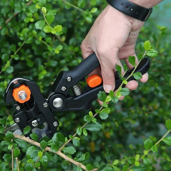 Professional Grafting & Pruning Tool - Image 2