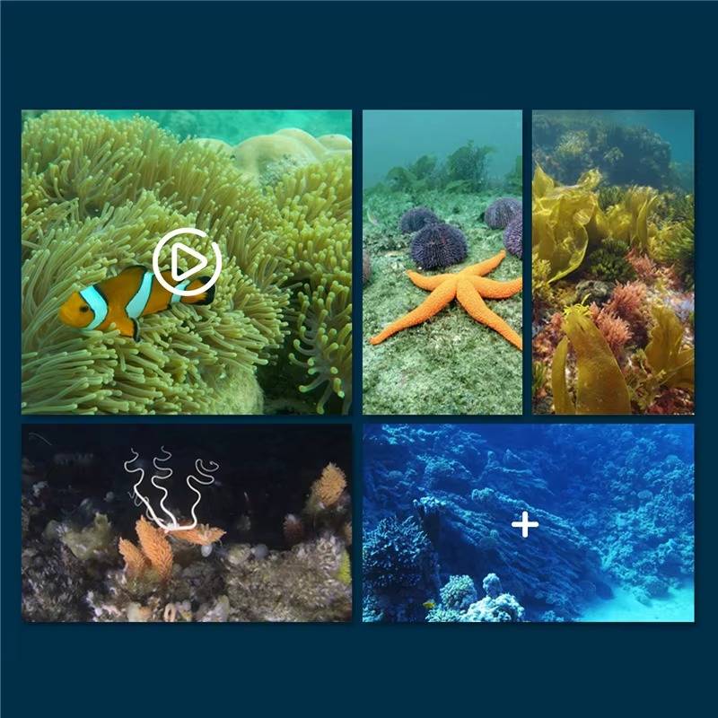 RC Submarine with Camera - Image 2