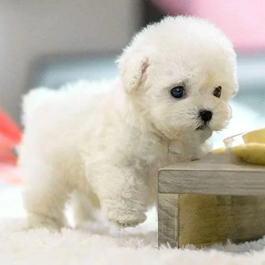 Realistic Robotic Puppy - Image 2