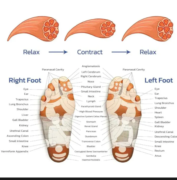 Rechargeable Heated Foot Massager - Image 7