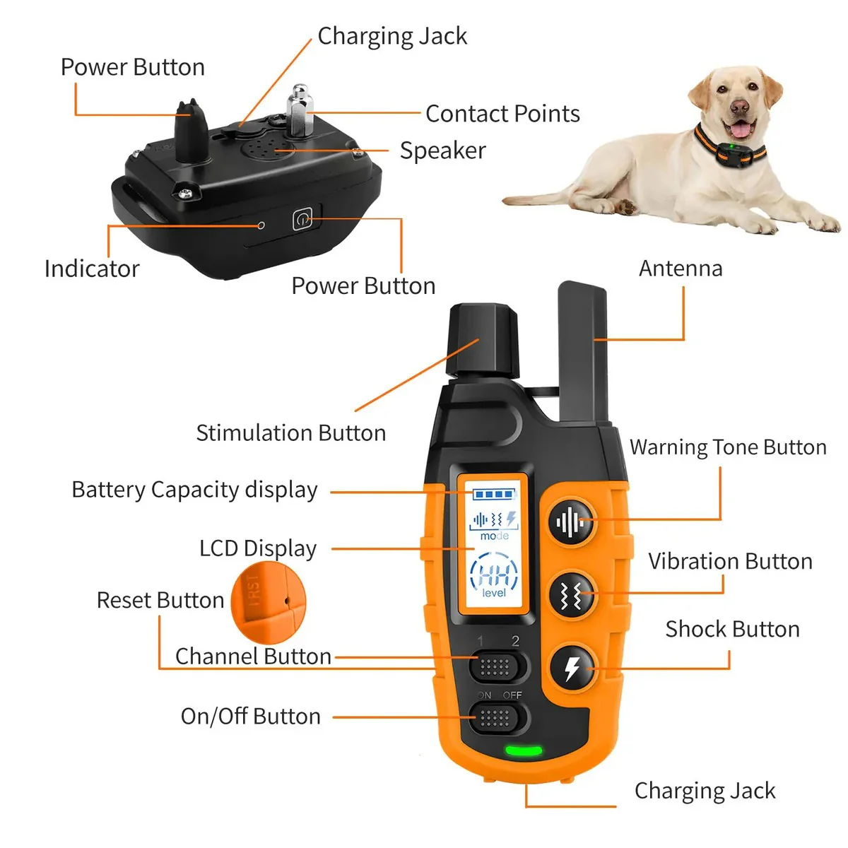 Remote Dog Training E-Collar - Image 5