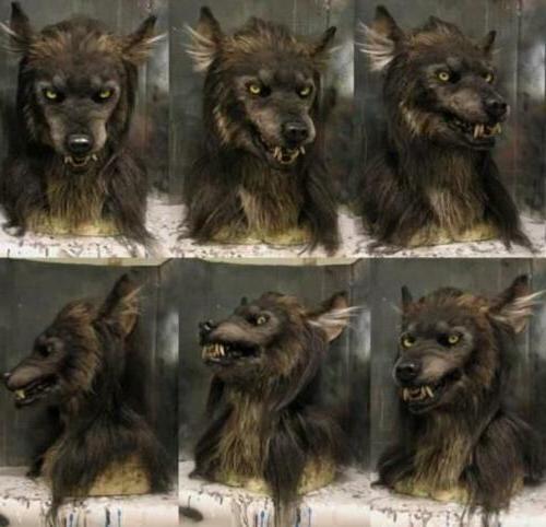 Scary Wolf Mask - Costume Mask for Halloween Masquerade Party - Image 2