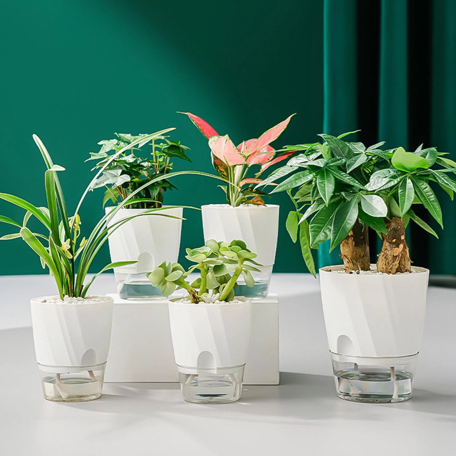 Self Watering Planter - Image 3