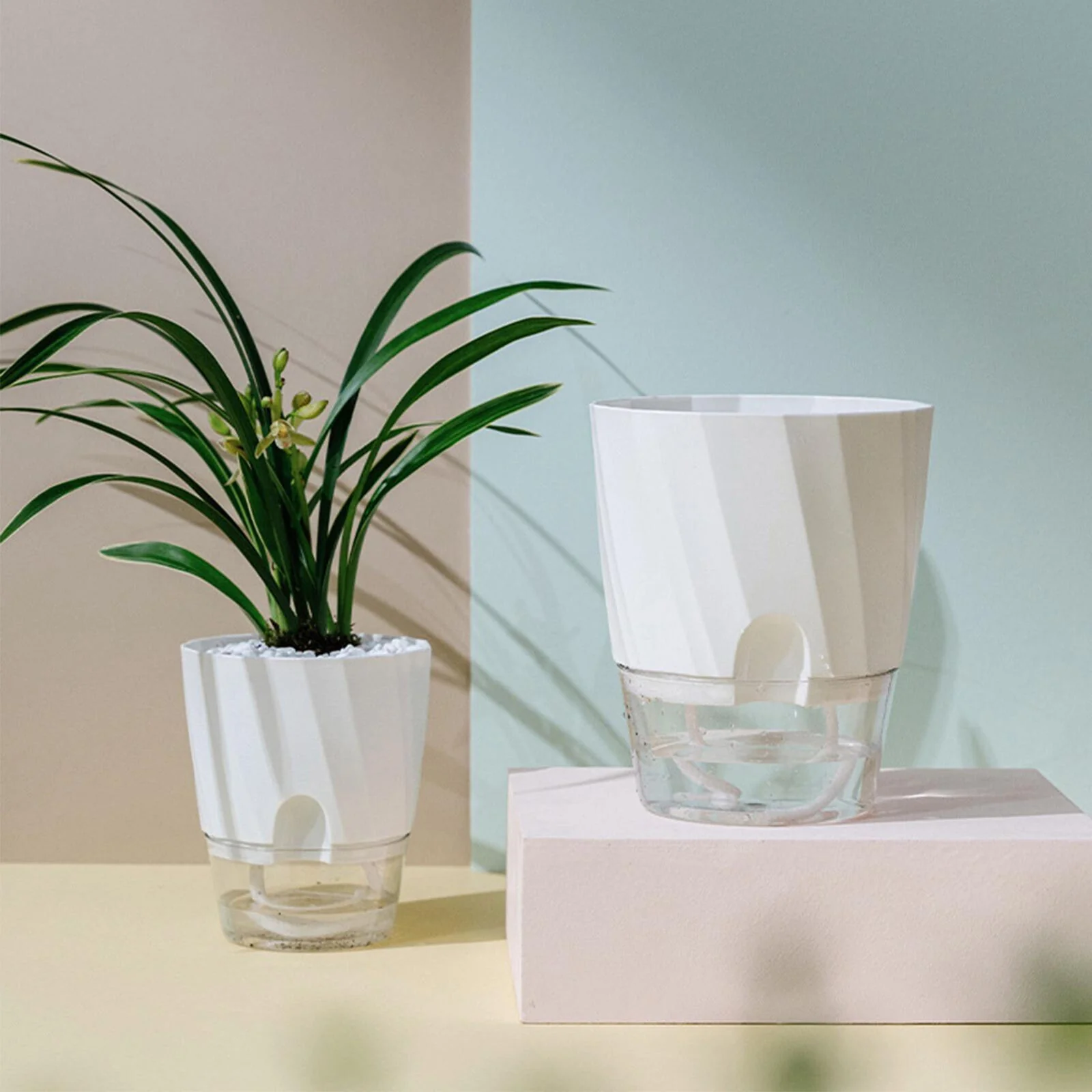 Self Watering Planter - Image 4