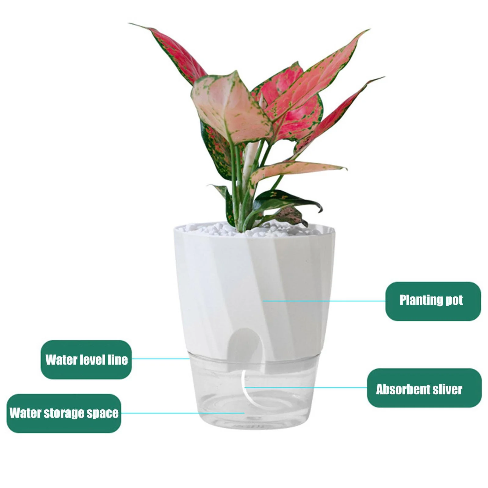 Self Watering Planter - Image 7