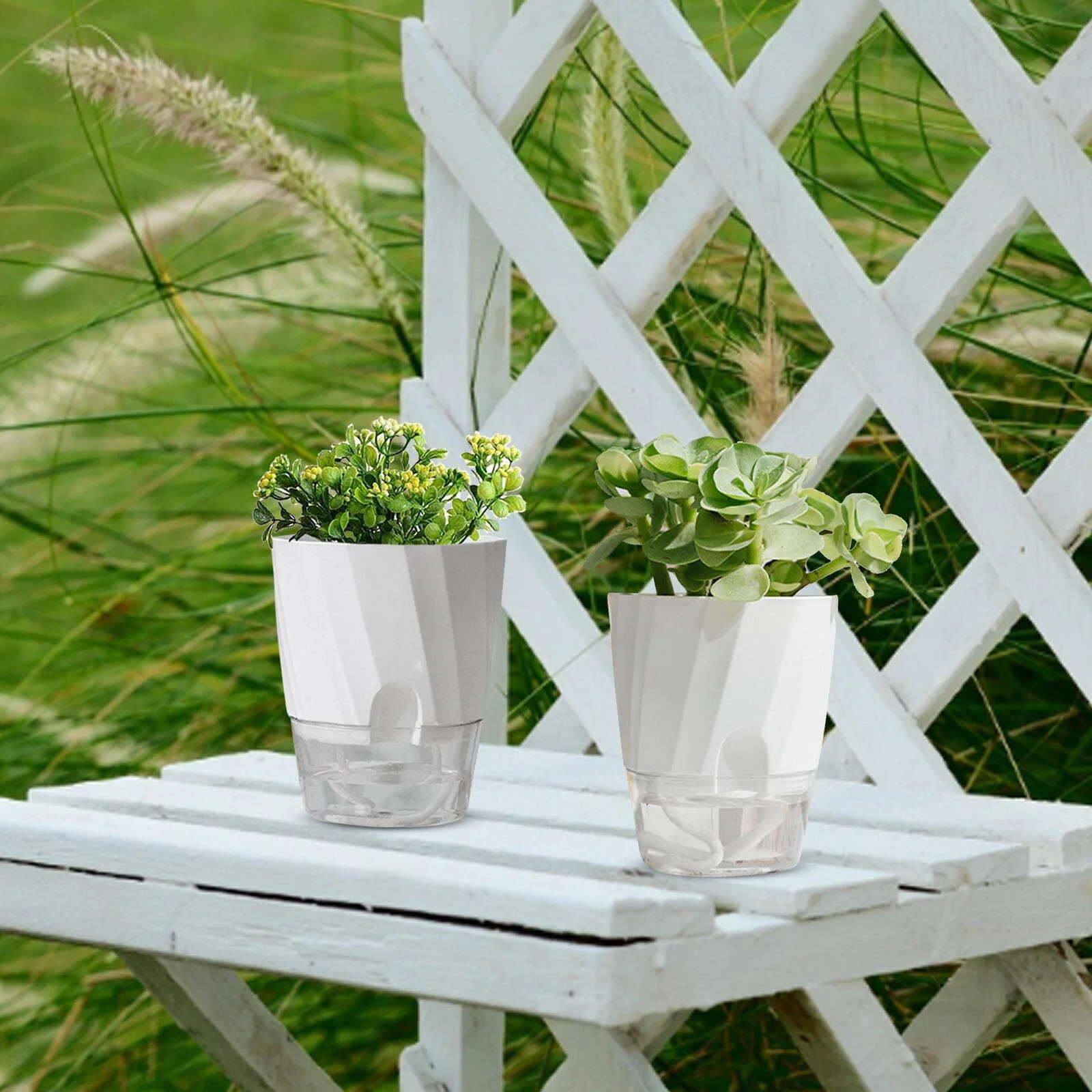 Self Watering Planter - Image 8