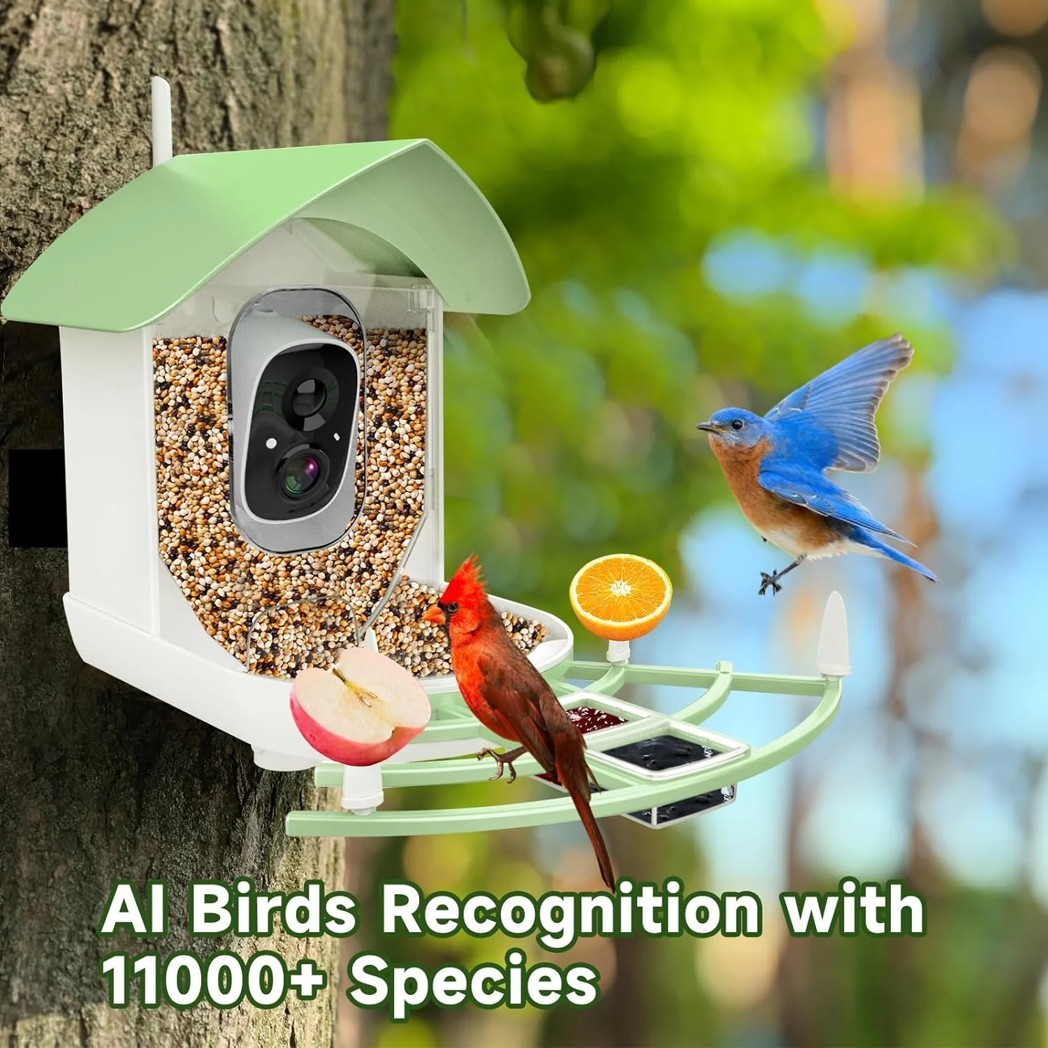 Smart Bird Feeder Camera - Image 4