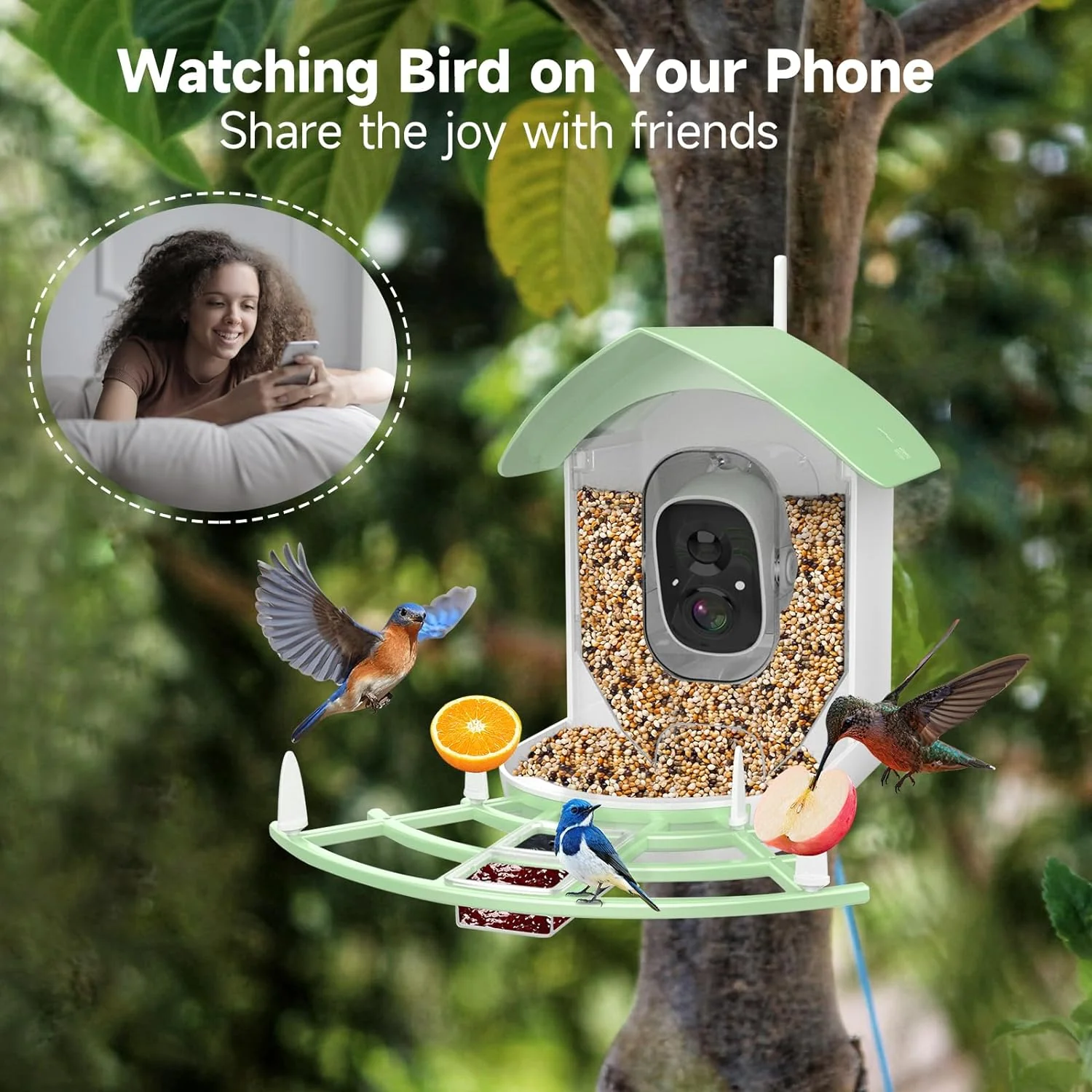 Smart Bird Feeder Camera - Image 5