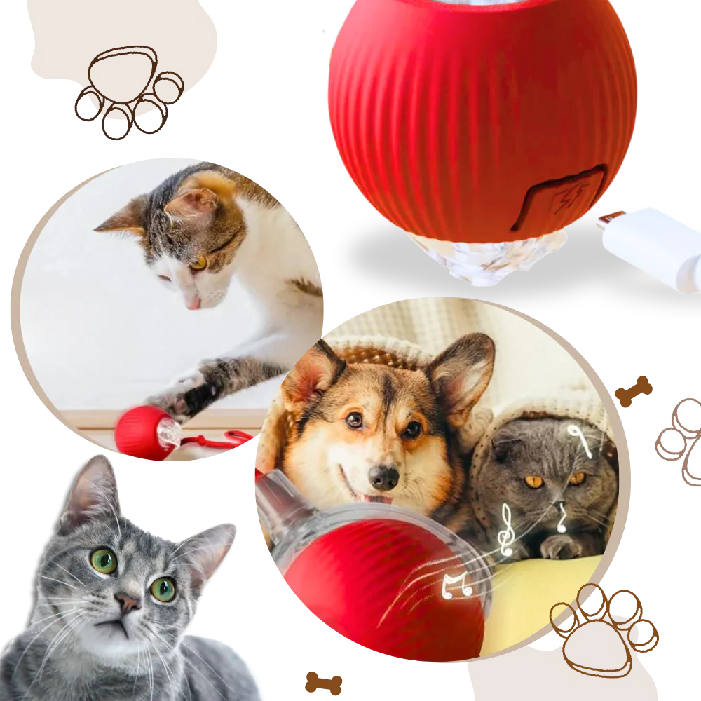 Smart Interactive Cats Ball Toy - Image 5