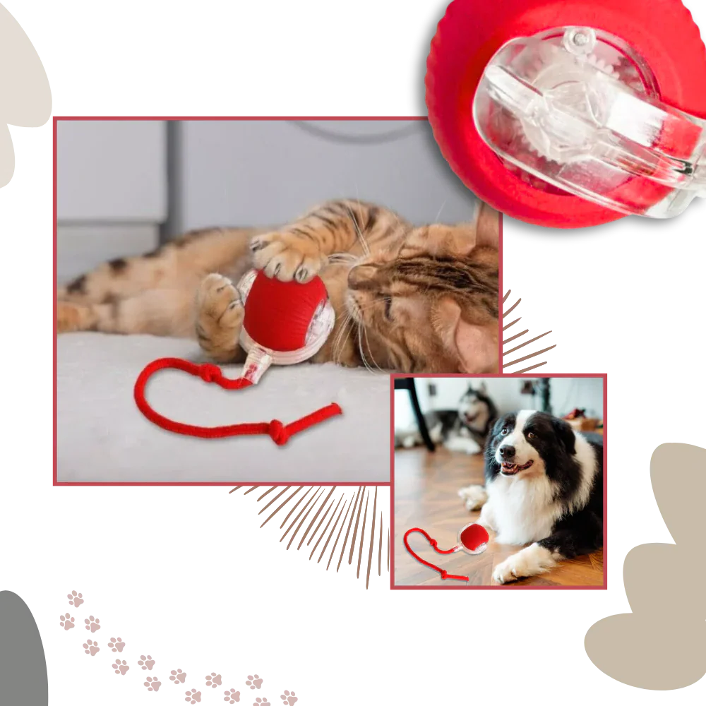 Smart Interactive Cats Ball Toy - Image 6
