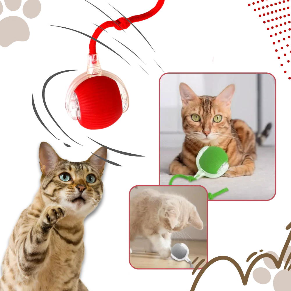 Smart Interactive Cats Ball Toy - Image 8