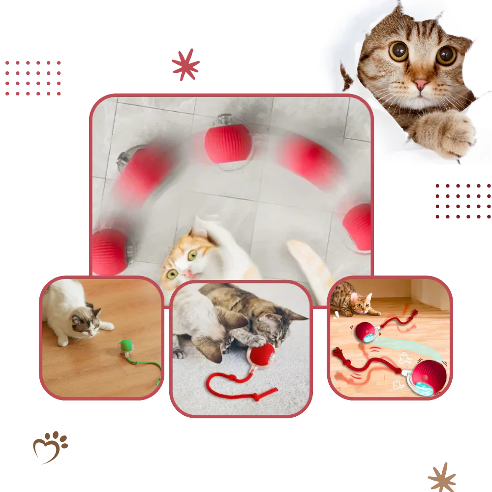 Smart Interactive Cats Ball Toy - Image 9