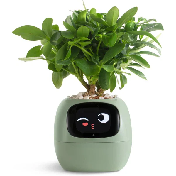 Smart Plant Pot Ivy - Innovative Plant Care - Image 2