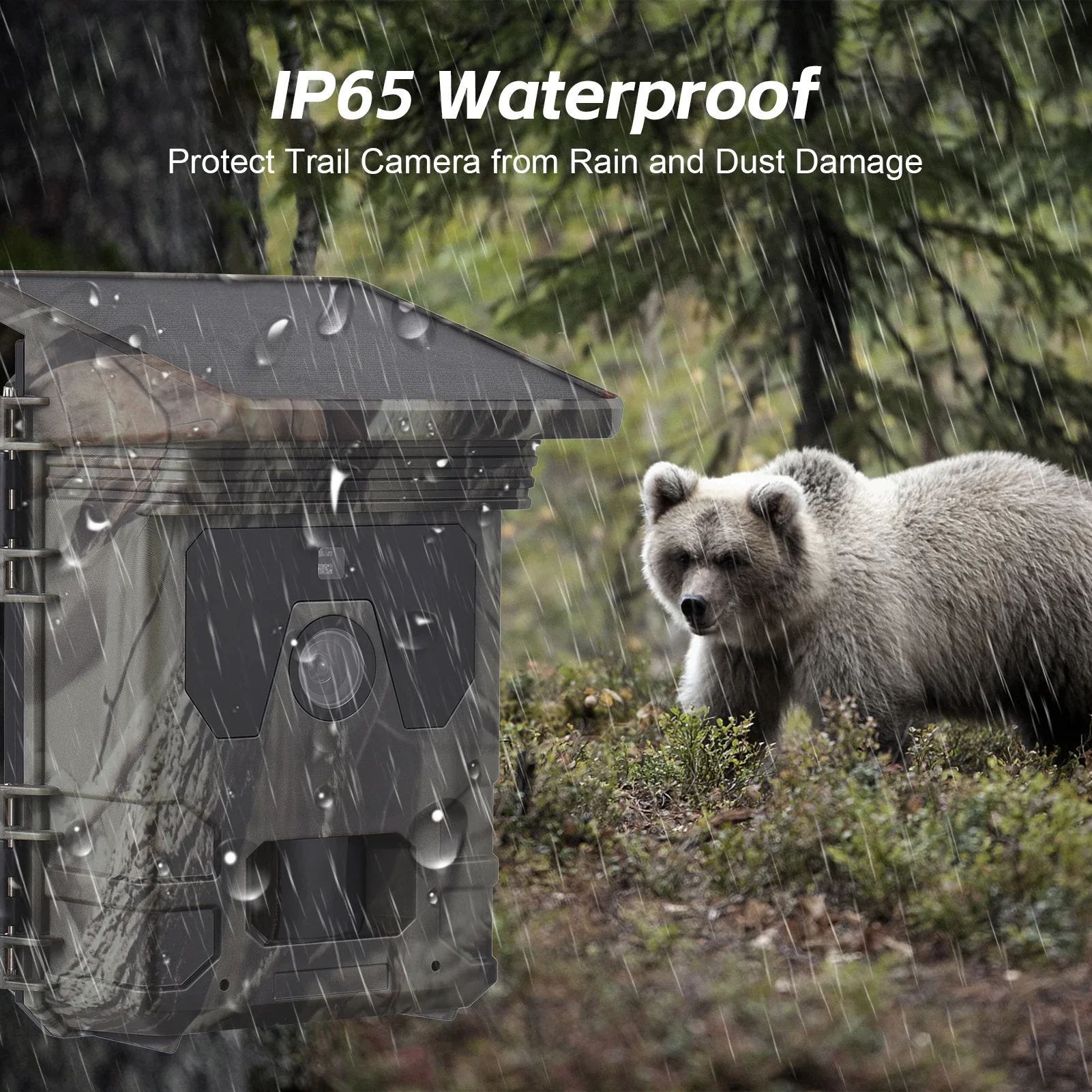 Solar Powered Night Vision Trail Camera - Image 5