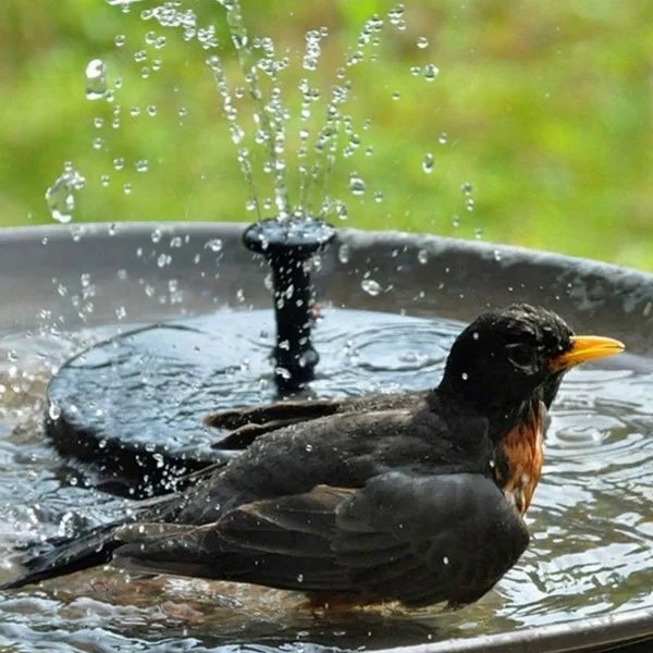 Solar Water Fountain for Garden -Eco-Friendly Outdoor Solar-Powered Fountain, Gift for Garden Lovers, Garden Fountain - Image 5