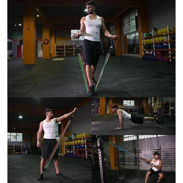 Sport Elastics - Image 3